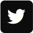 twitterLogo